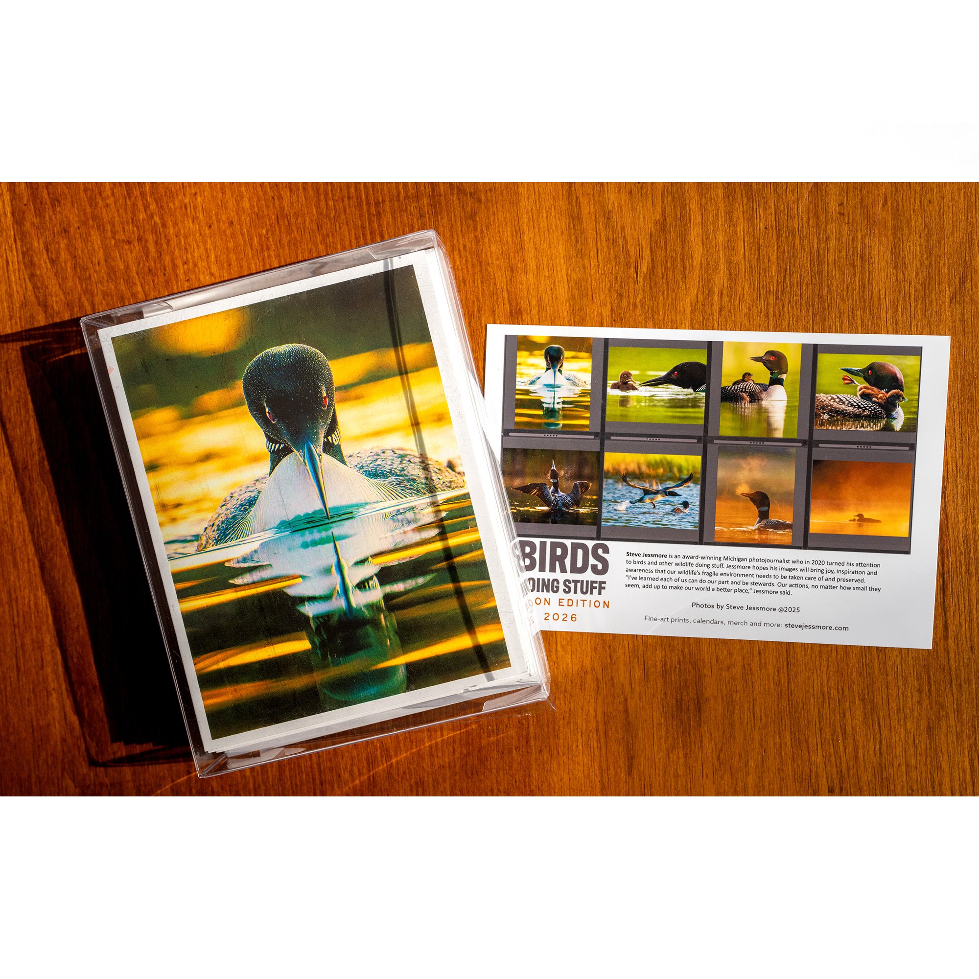 Bird Notecards- Birds Doing Stuff- Set of 6 — Steve Jessmore